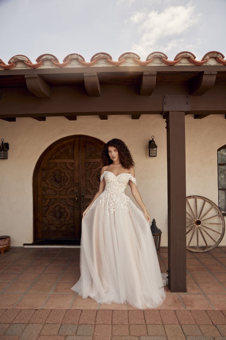 Beloved by Casablanca Bridal BL430 Delta Wedding Dress Fit And Flare V –  Glass Slipper Formals